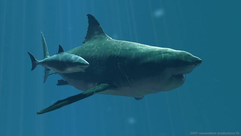 Megalodon.jpg