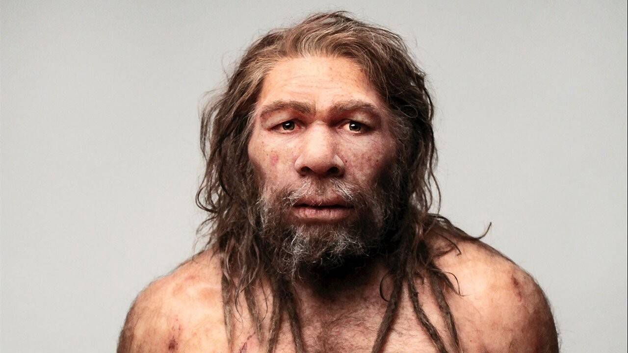 Neandertales.jpg