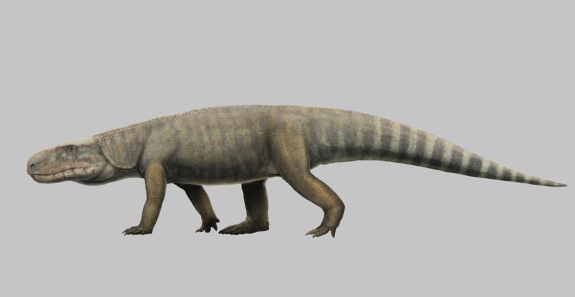 new-archosaur-reconstruction-full-width.jpg.thumb_.1160.1160.jpg