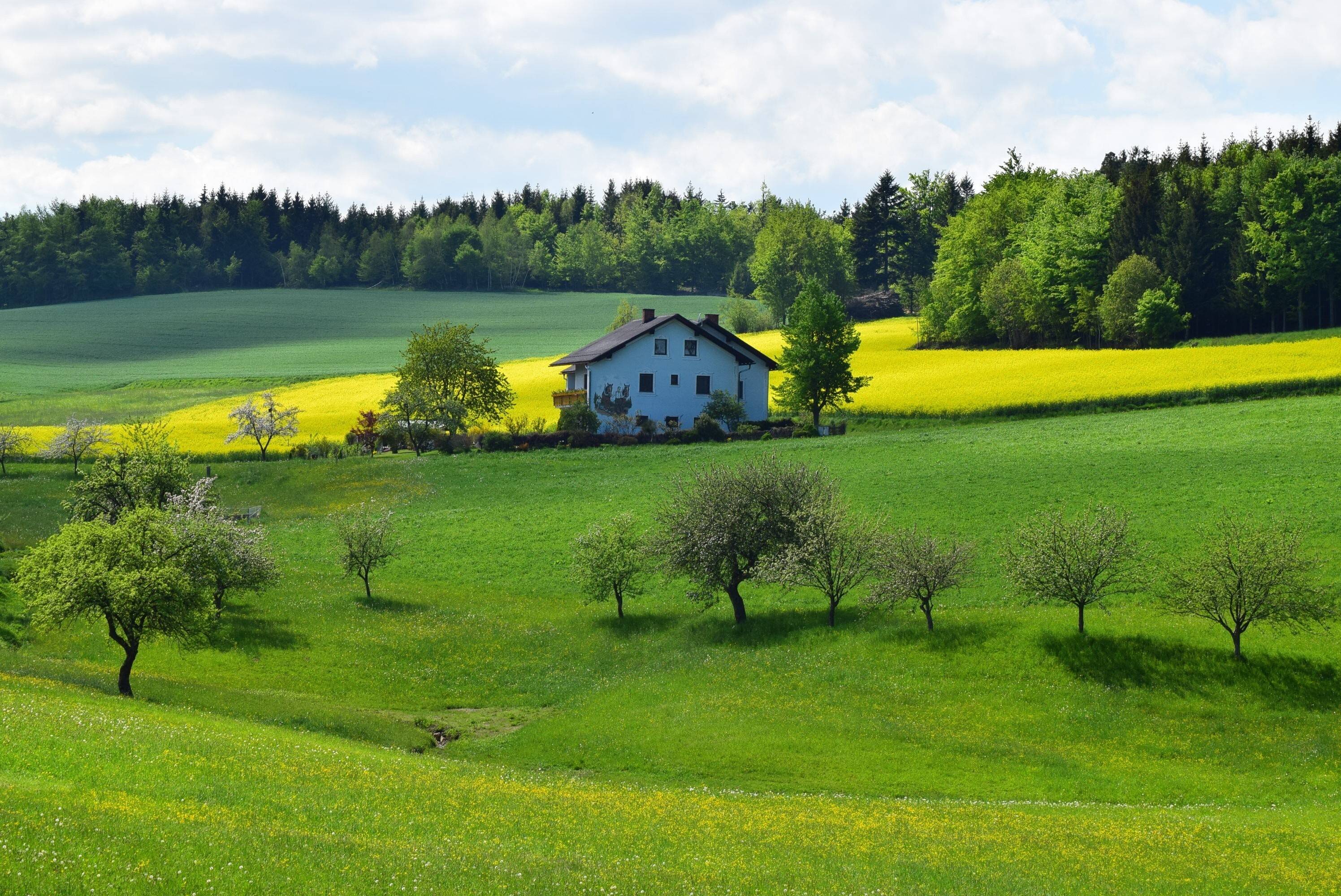 pexels-pixabay-434634.jpg