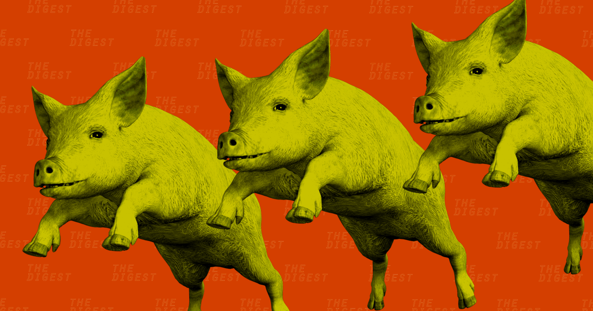 pig-organs2-1200x630.png