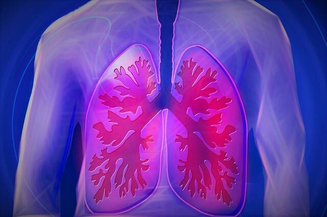 pulmones-PIXABAY.jpg