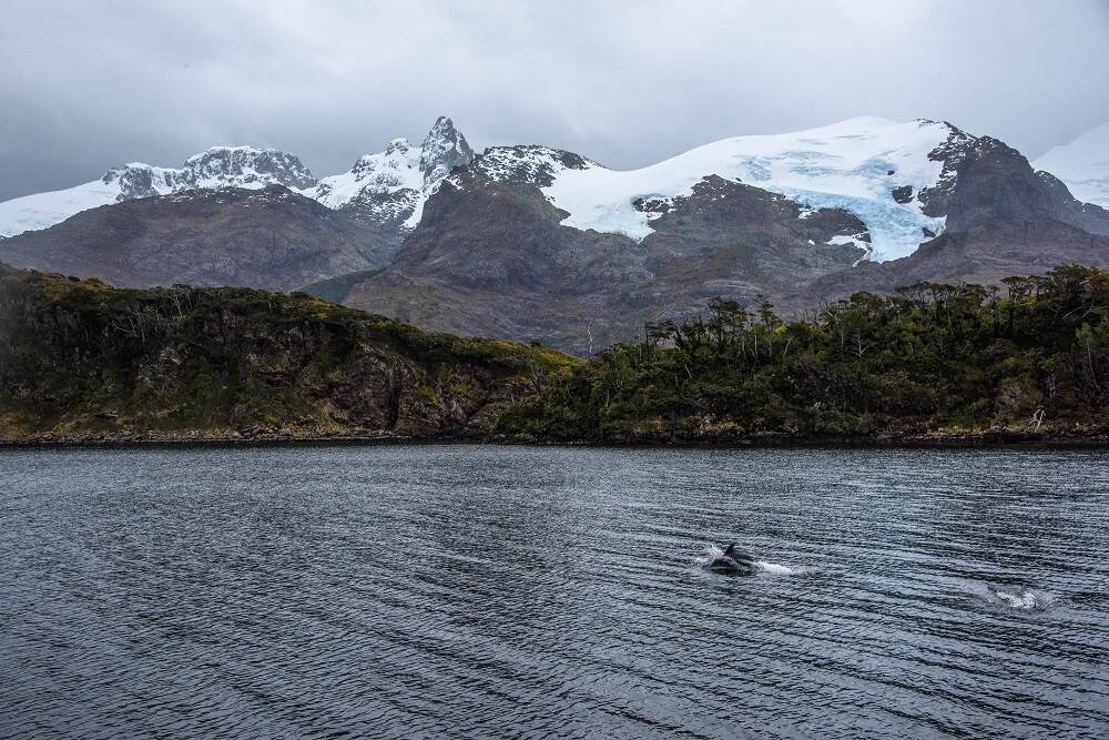 Reserva-Nacional-Kawésqar-OK.jpg