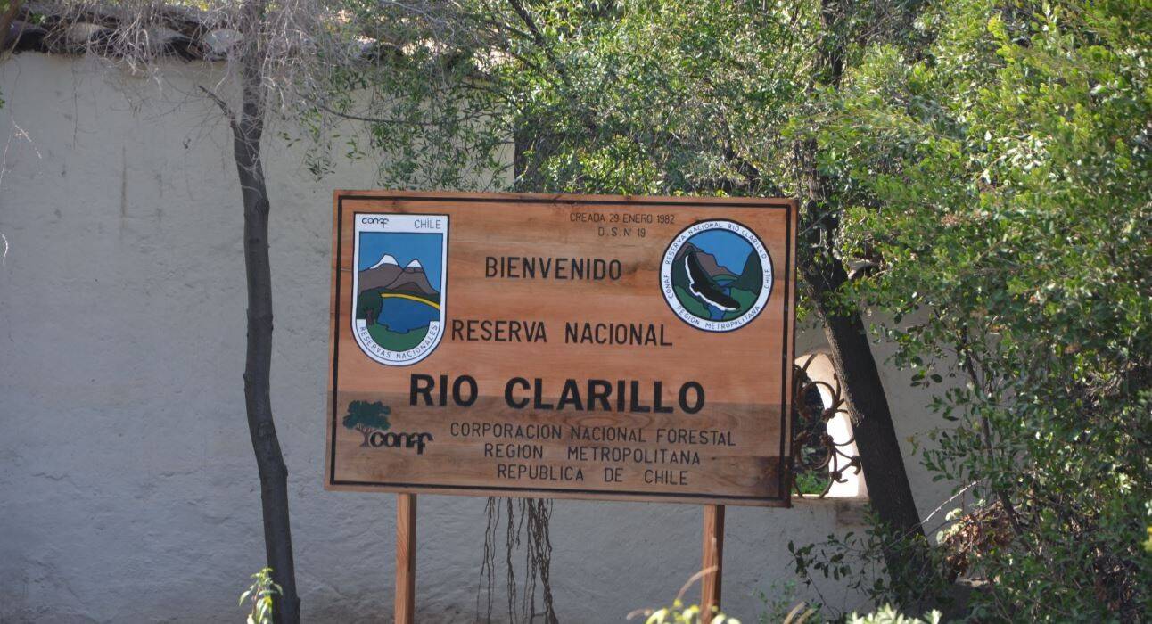 rio-clarillo-0402-2.jpg