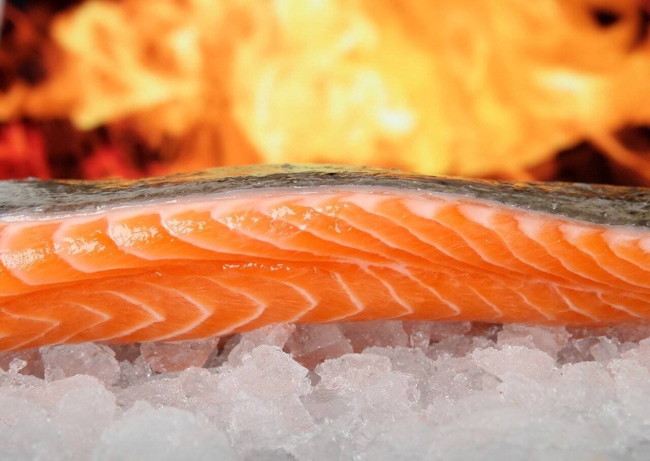 salmon-1238662_1280.jpg