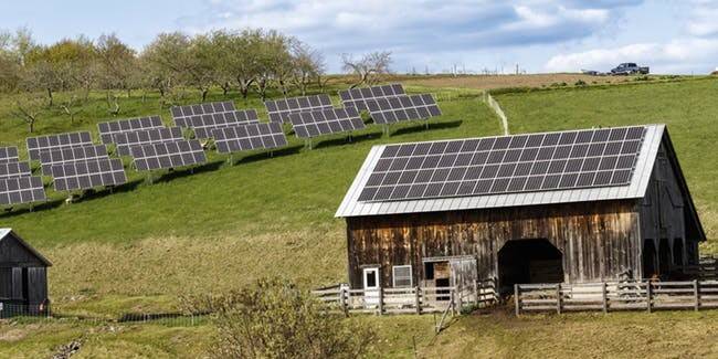 these-two-barns-in-vermont-house-sheep-pigs-and-cows-in-the-winter-the-solar-array-accounts-for-8.jpeg