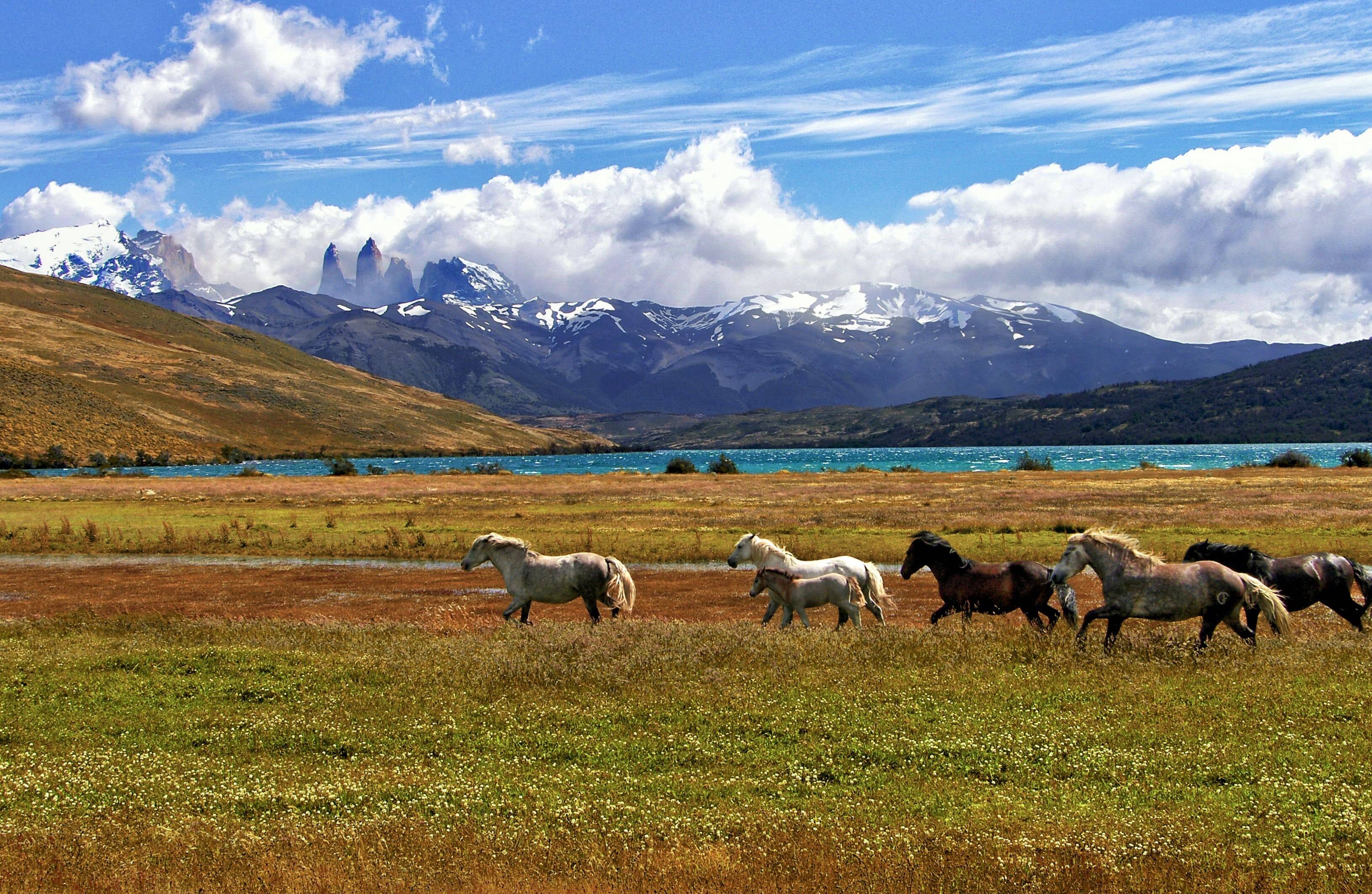 torres-del-paine.jpg