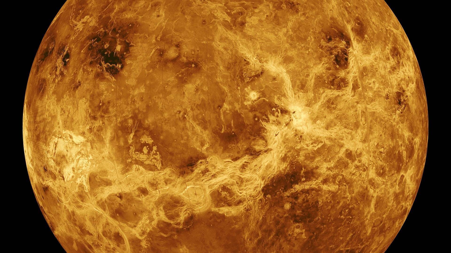 Venus.jpg