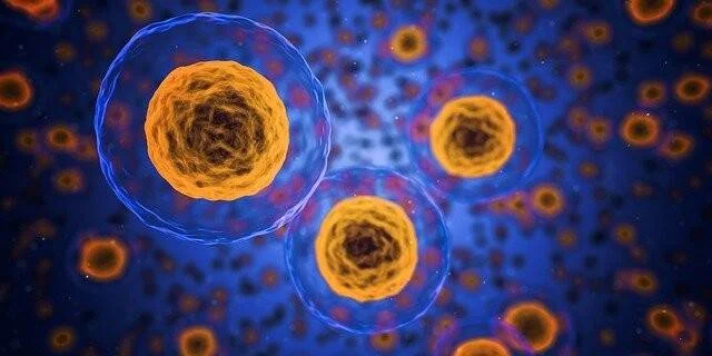 Representación digital de células con núcleos de color naranja y membrana azul translúcida sobre fondo oscuro.