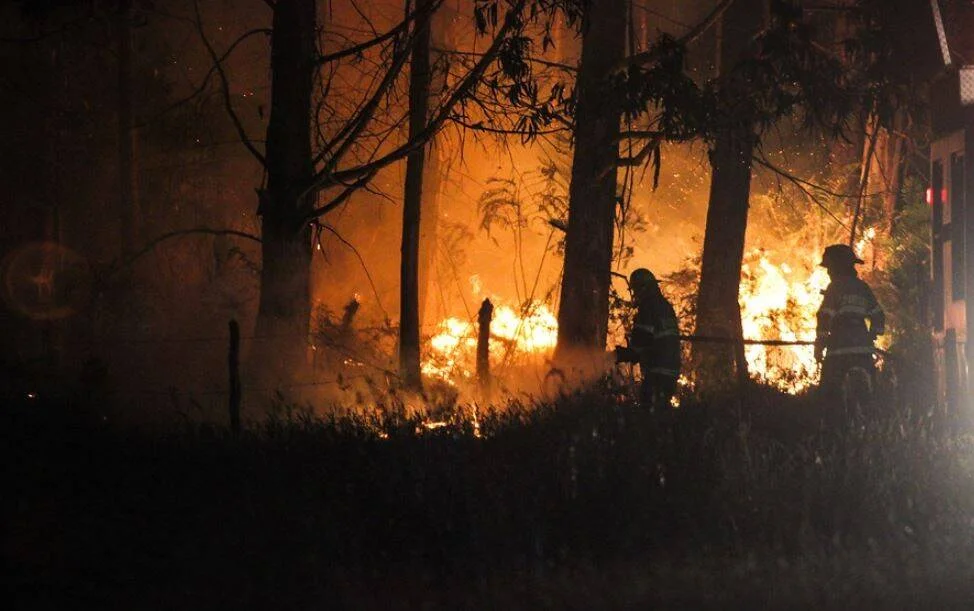 Dos bomberos en silueta trabajan para controlar un intenso incendio forestal durante la noche, con llamas naranjas entre los árboles.