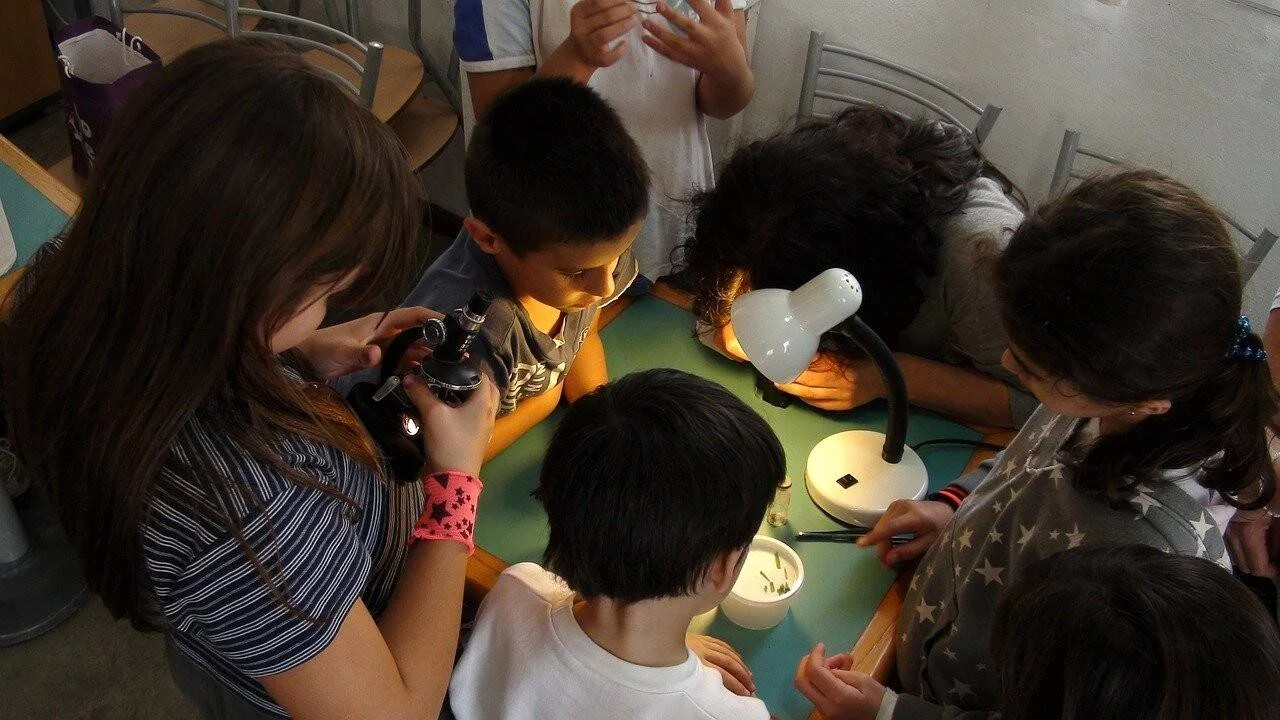 Grupo de niños y una adulta realizan una actividad de ciencias con microscopio y lámpara sobre una mesa en el aula.
