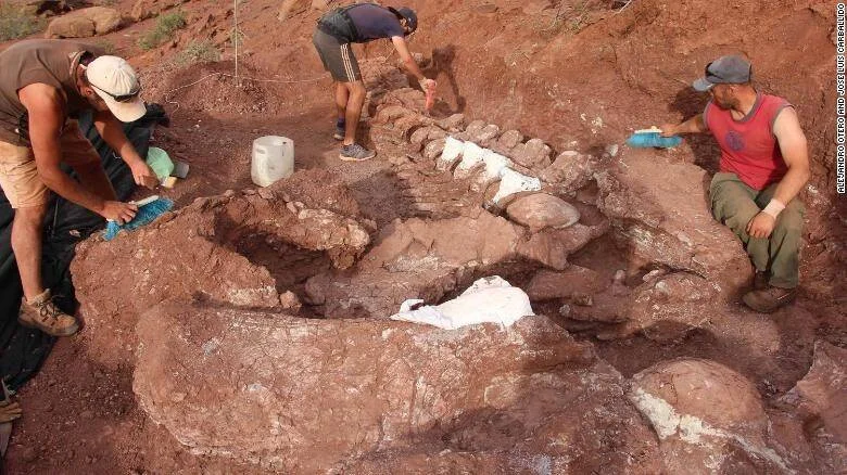 Tres paleontólogos trabajan en la excavación de grandes huesos fósiles de dinosaurio incrustados en roca rojiza.