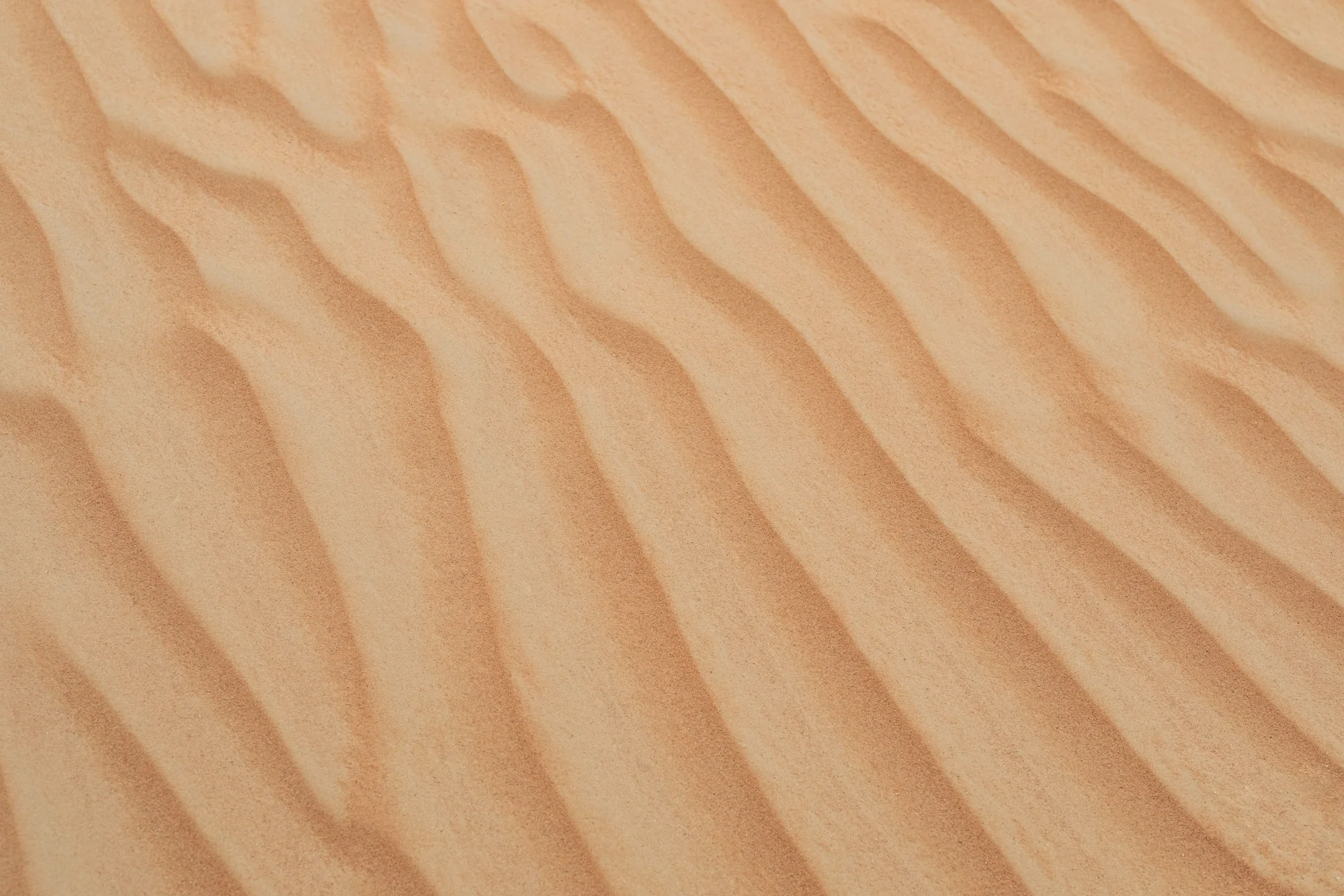 Patrones de ondas formados por el viento sobre arena fina de color ocre en un desierto.