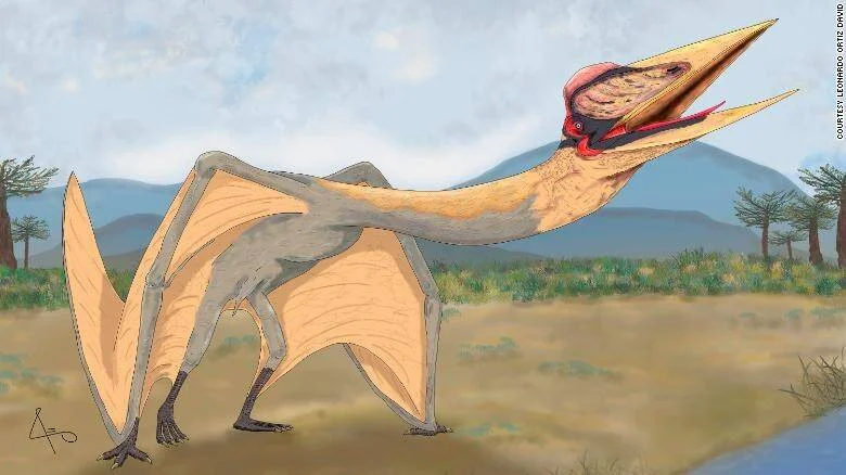 Reconstrucción artística de un pterosaurio de gran tamaño con cresta roja y pico largo, posado en un entorno prehistórico.