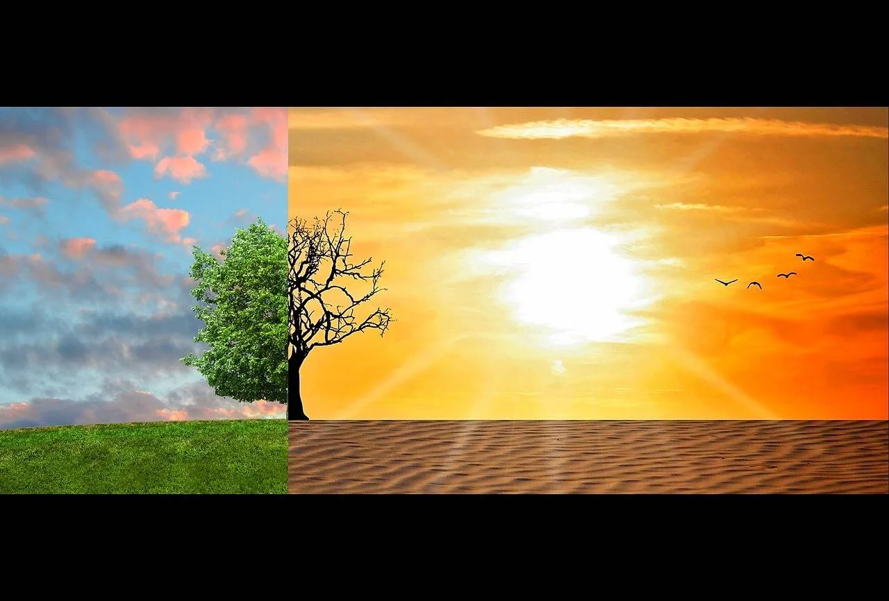 Composición que contrasta un árbol frondoso en pradera verde con un árbol muerto en desierto árido bajo sol abrasador, simbolizando el cambio climático.