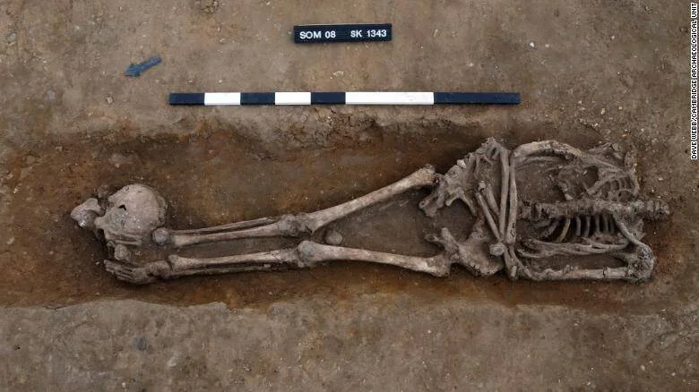 Esqueleto humano completo hallado en una tumba durante una excavación arqueológica, con escala de medición y etiqueta SOM 08 SK 1343.
