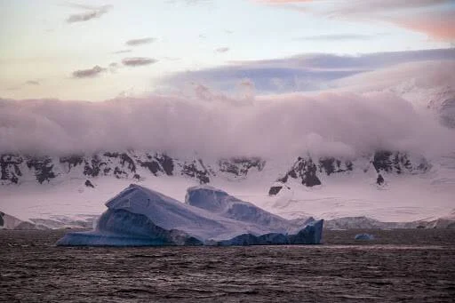 Icebergs azules flotan en aguas oscuras frente a montañas nevadas cubiertas de niebla bajo un cielo rosado.
