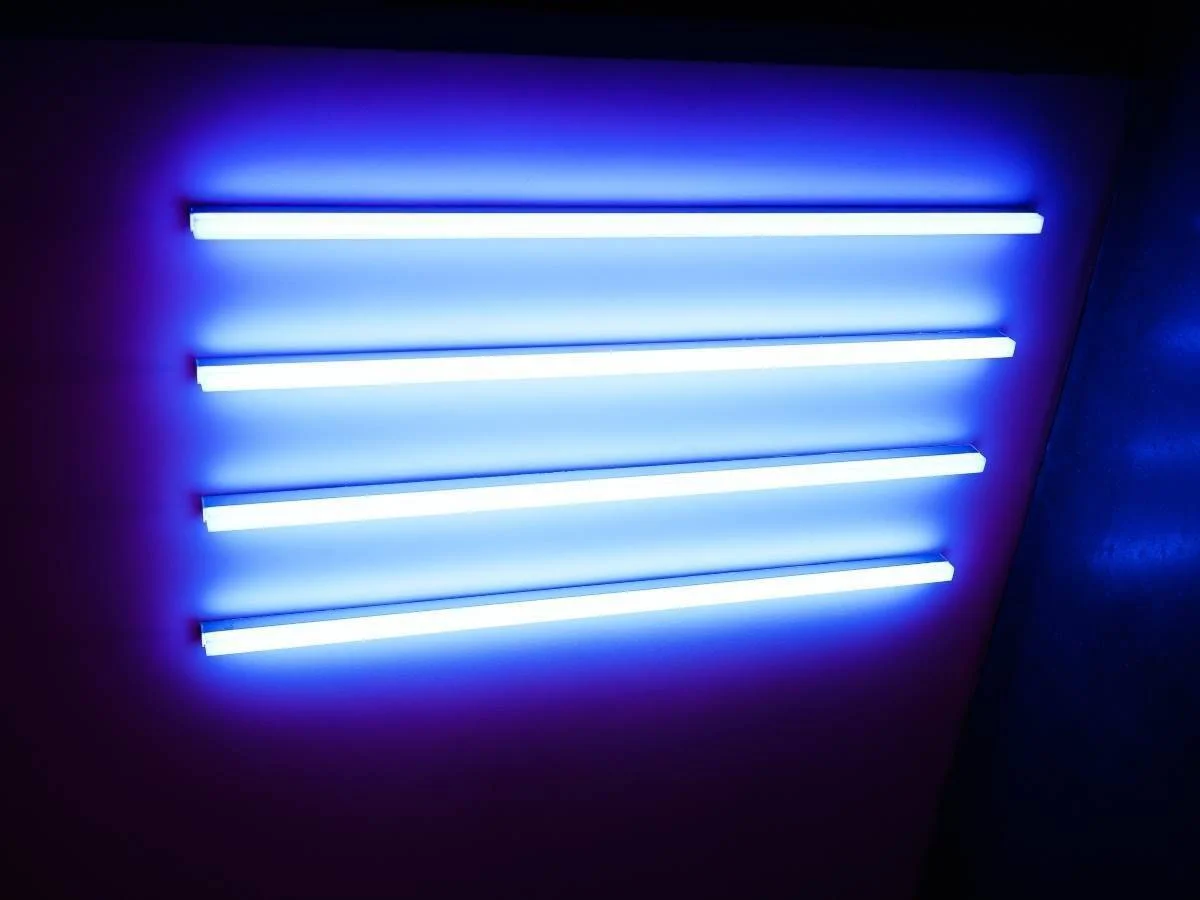 Cuatro tubos fluorescentes LED de color azul intenso montados horizontalmente en una pared oscura, proyectando un resplandor violáceo.
