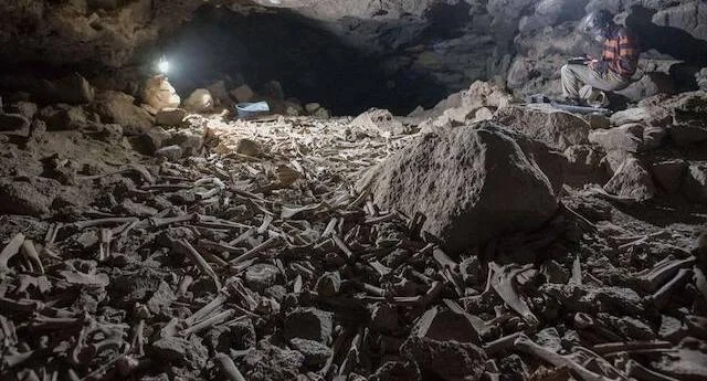 Investigador con linterna frontal rodeado de cientos de huesos dispersos en el suelo de una cueva oscura.