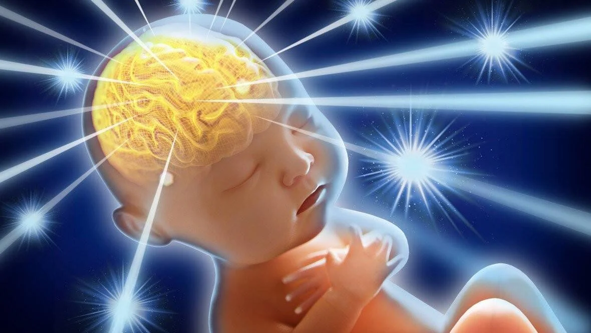 Ilustración 3D de un bebé con el cerebro iluminado en dorado y rayos de luz irradiando desde su cabeza, simbolizando el desarrollo neuronal.