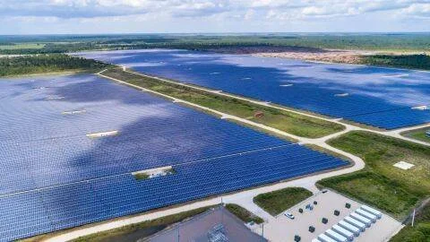 Vista aérea de una extensa planta de energía solar con miles de paneles fotovoltaicos rodeada de vegetación.