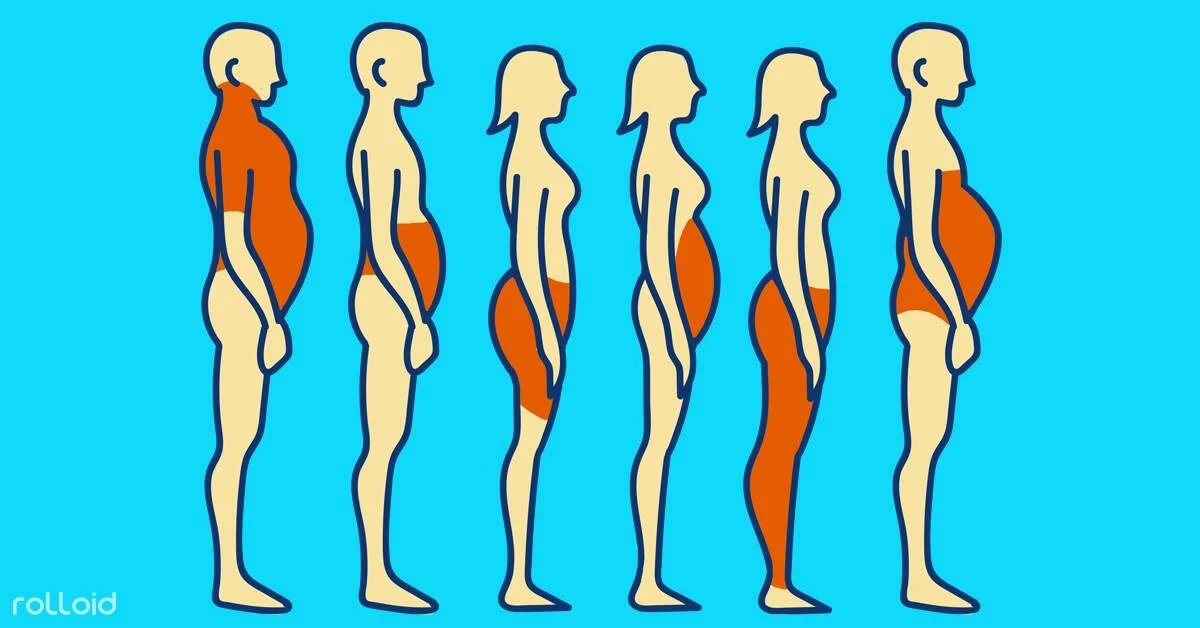 Seis siluetas de perfil muestran distintas zonas de acumulación de grasa corporal en hombres y mujeres, resaltadas en naranja.