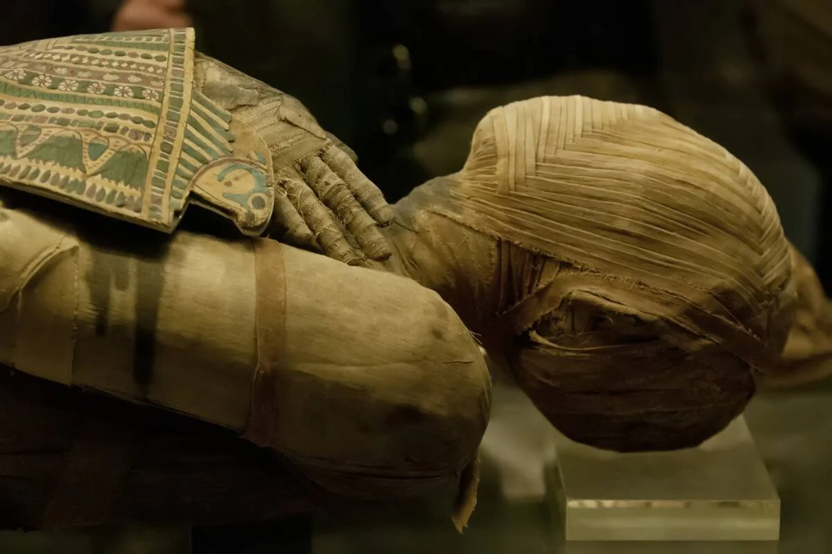 Momia egipcia envuelta en vendas de lino con collar funerario pintado en verde y azul, expuesta en vitrina de museo.