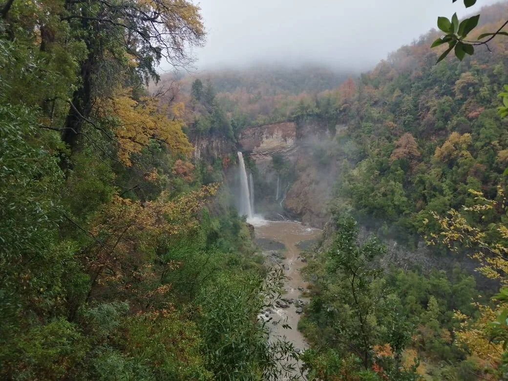 Cascada que cae en un cañón rodeado de bosque otoñal con niebla baja y río turbio al pie.