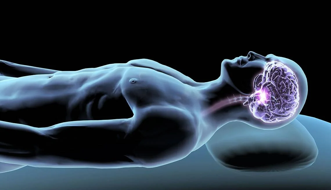 Ilustración médica de una figura humana acostada con el cerebro iluminado en color púrpura, representando la actividad cerebral durante el sueño.