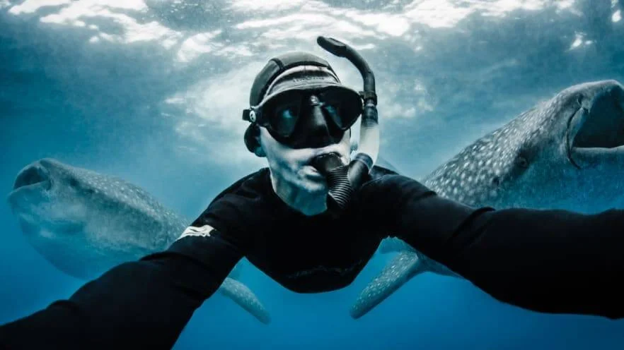 Buceador con máscara y snorkel nada rodeado de dos tiburones ballena bajo el agua.