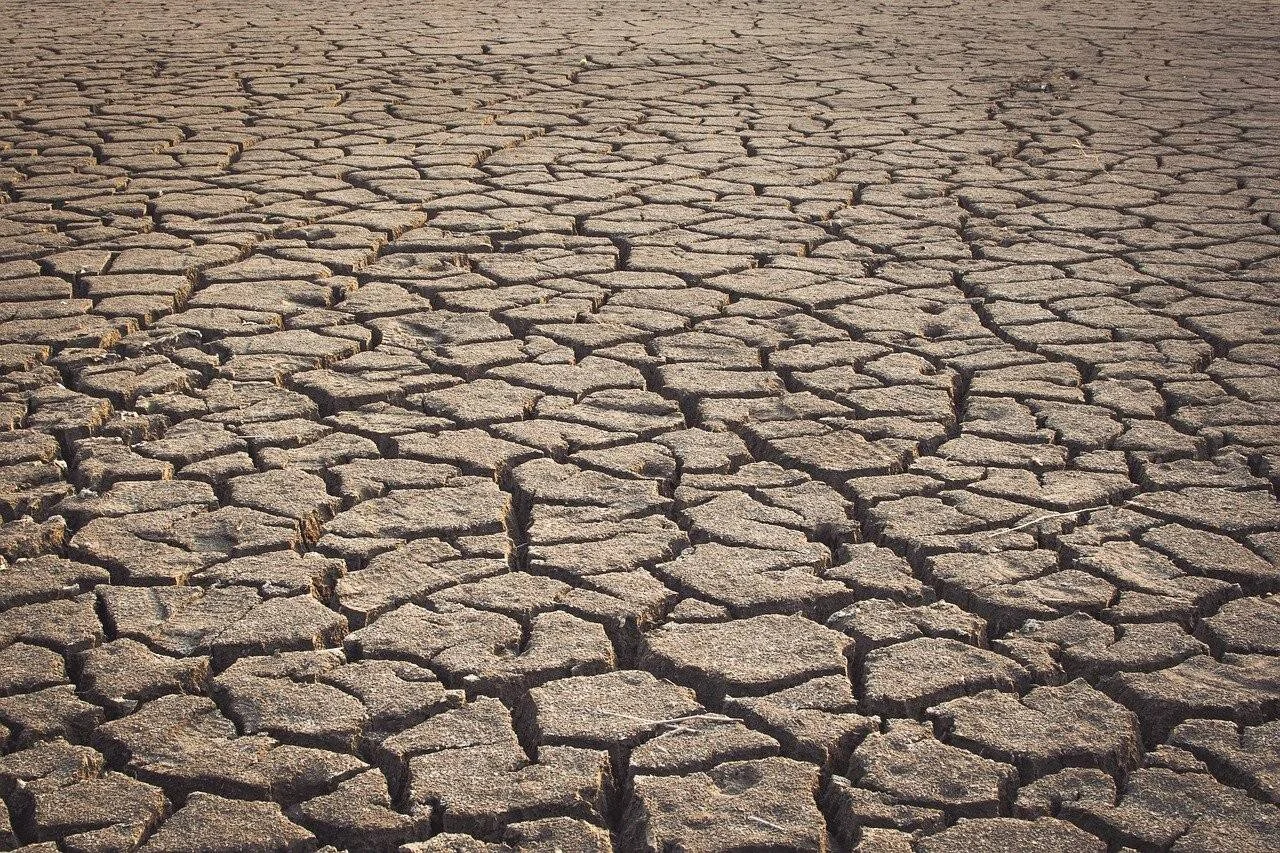 Tierra completamente reseca y cuarteada en bloques irregulares, evidenciando una severa sequía.