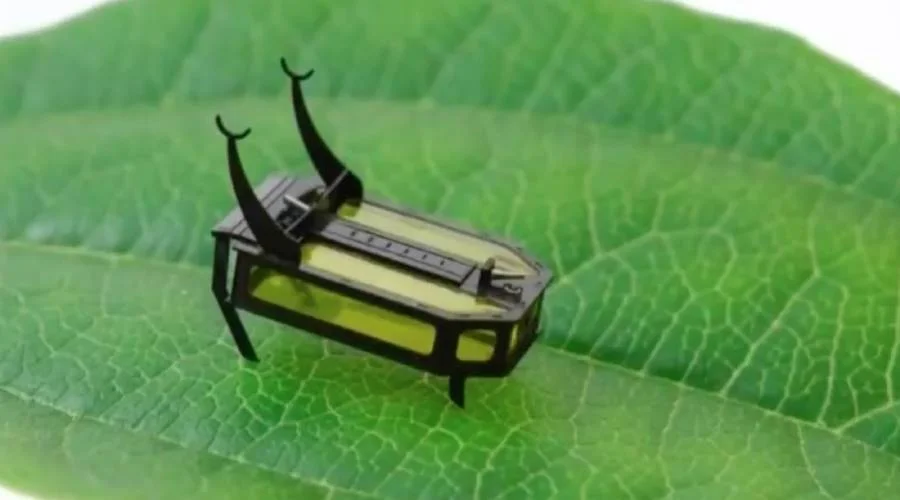 Pequeño robot con apariencia de insecto y antenas posado sobre una hoja verde, mostrando su diminuto tamaño.