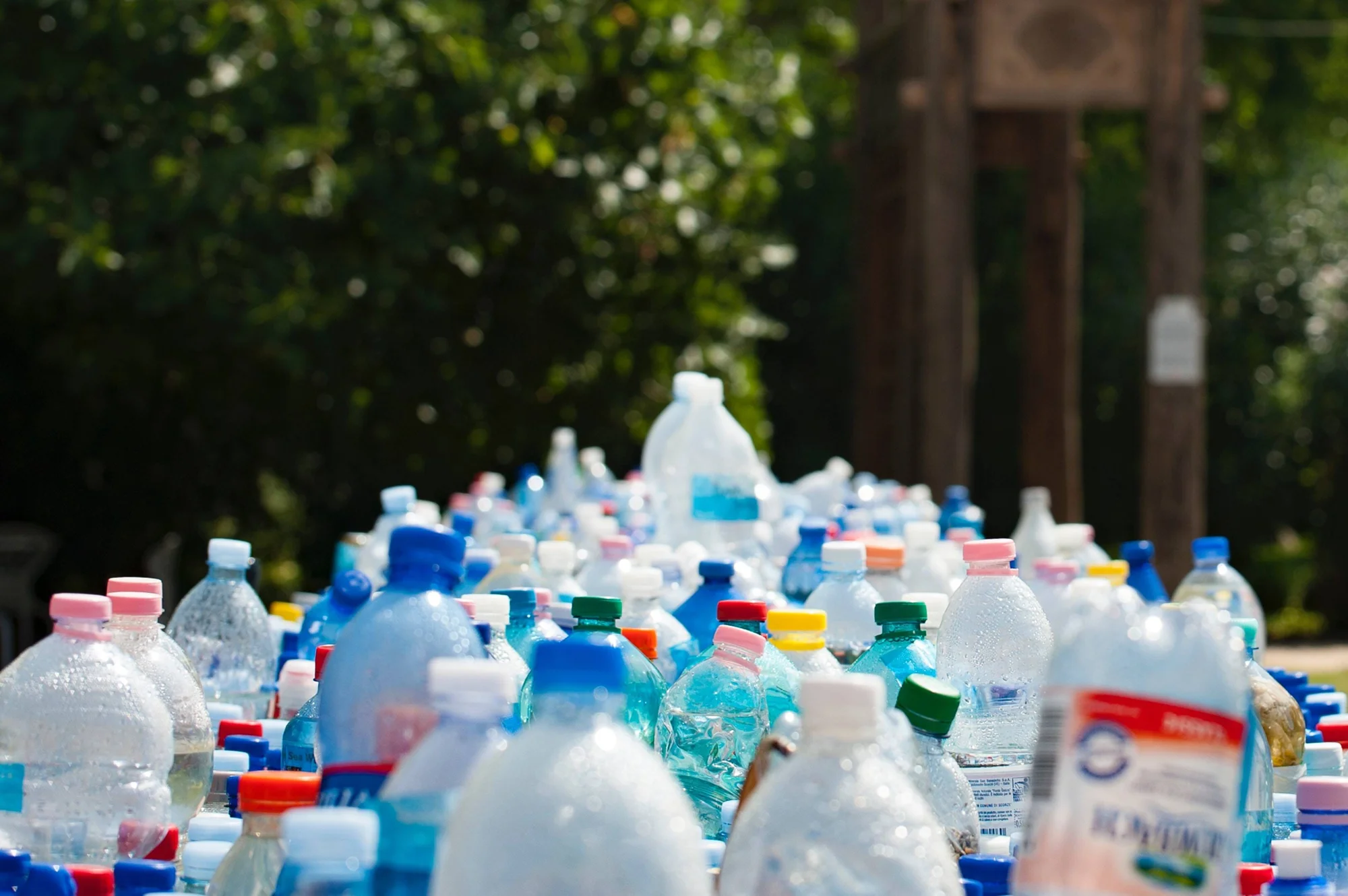 Decenas de botellas plásticas de distintos tamaños y tapas de colores agrupadas al aire libre, con árboles al fondo.