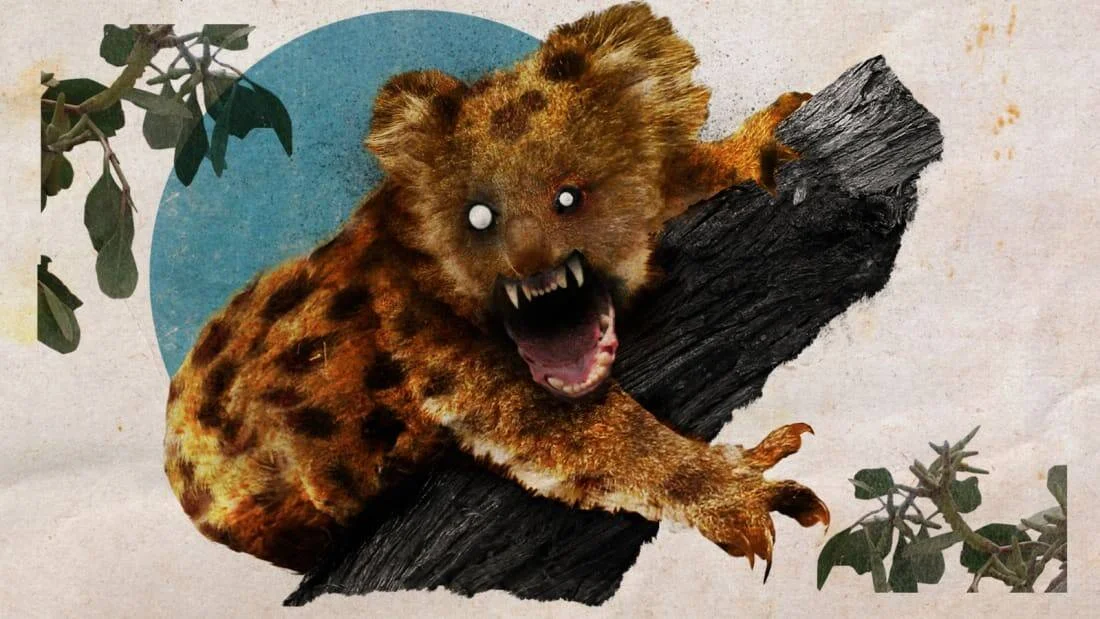 Ilustración de un koala con aspecto aterrador, colmillos expuestos, ojos blancos y manchas de leopardo, aferrado a un tronco carbonizado.