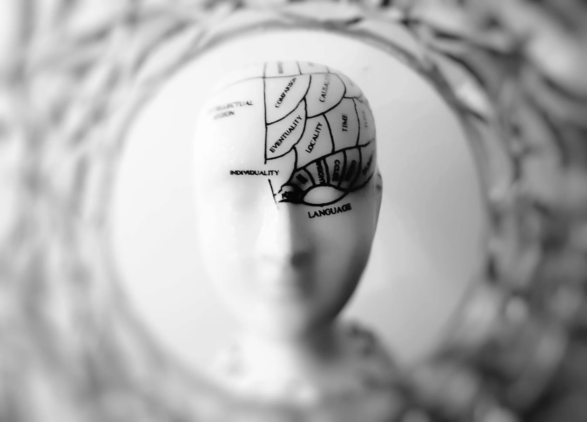 Busto blanco de frenología con regiones del cerebro marcadas como lenguaje, individualidad y tiempo, en blanco y negro.