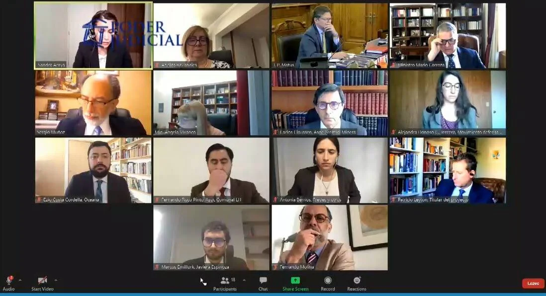 Doce participantes conectados en videollamada de Zoom con logo del Poder Judicial de Chile, incluyendo ministros y representantes legales.