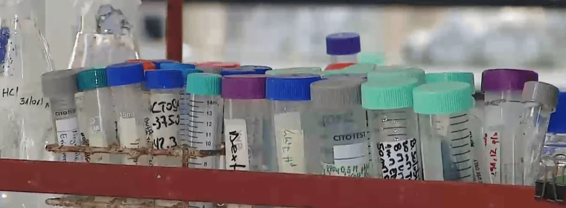 Múltiples tubos de ensayo con tapas de colores y etiquetas escritas a mano ordenados en un estante de laboratorio.