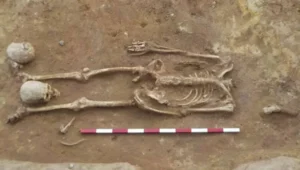 Restos óseos de dos individuos y un animal, excavados en tierra, con escala métrica roja y blanca.
