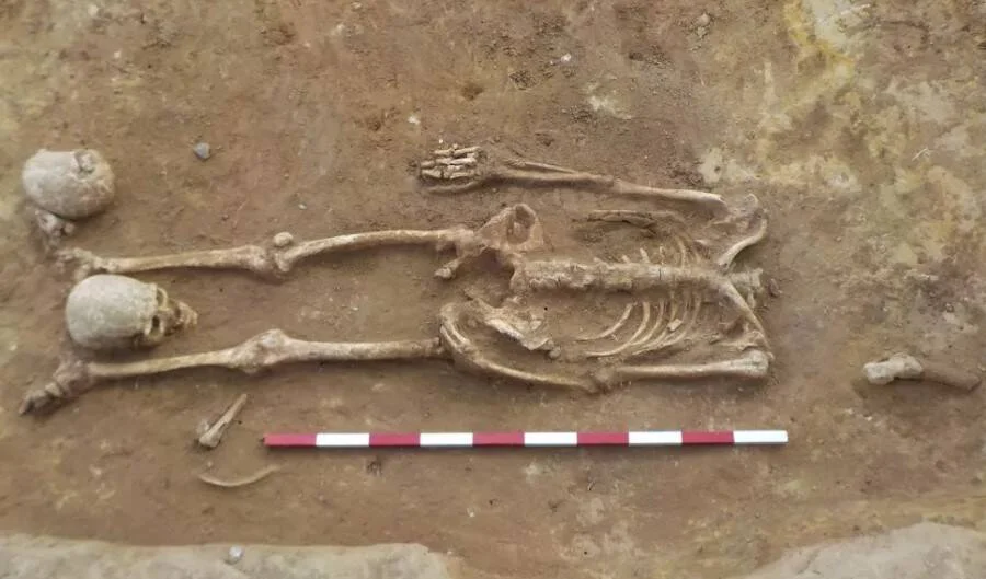 Restos óseos de dos individuos y un animal, excavados en tierra, con escala métrica roja y blanca.