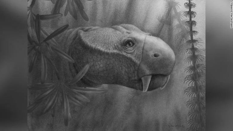 Reconstrucción artística en escala de grises de la cabeza de un reptil prehistórico herbívoro rodeado de plantas del Triásico.