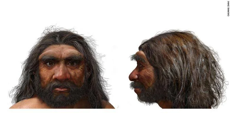 Ilustración artística de la reconstrucción facial de un homínido prehistórico mostrada de frente y de perfil.