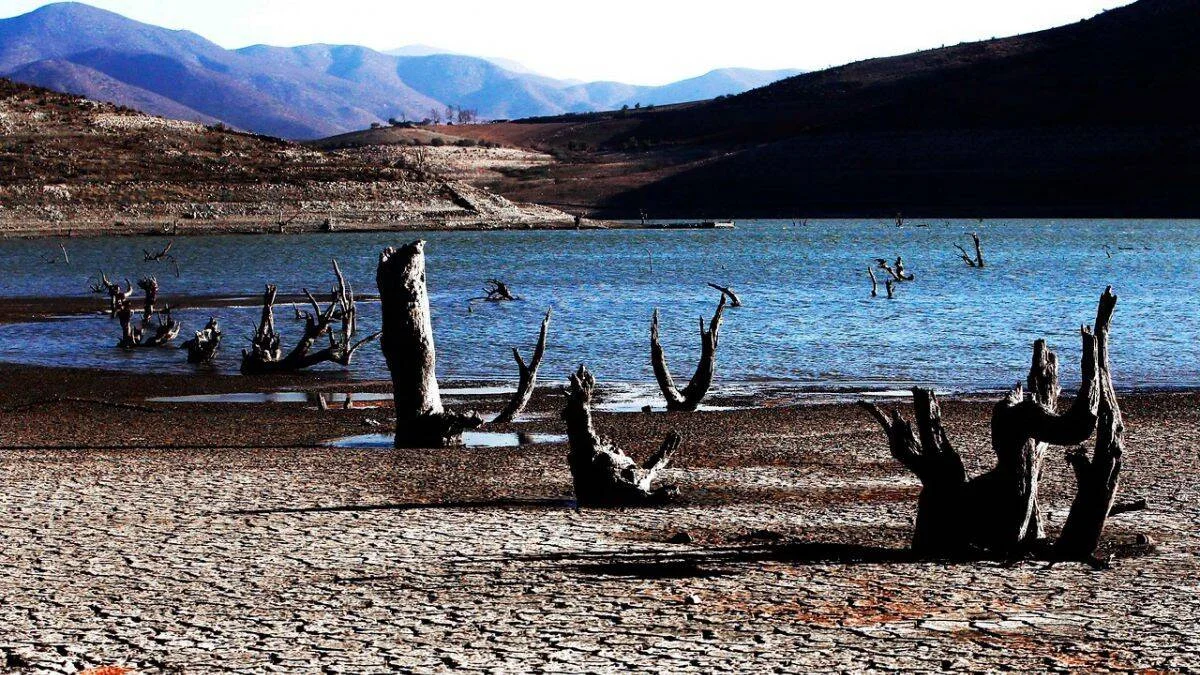 Orilla agrietada de un embalse con nivel muy bajo, donde emergen troncos muertos mientras montañas áridas rodean el paisaje.
