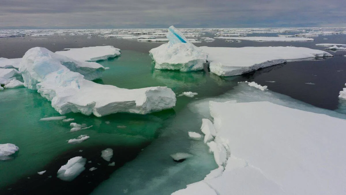 Témpanos y bloques de hielo fragmentados flotan sobre aguas de tonos verdes y oscuros en un mar polar bajo cielo nublado.