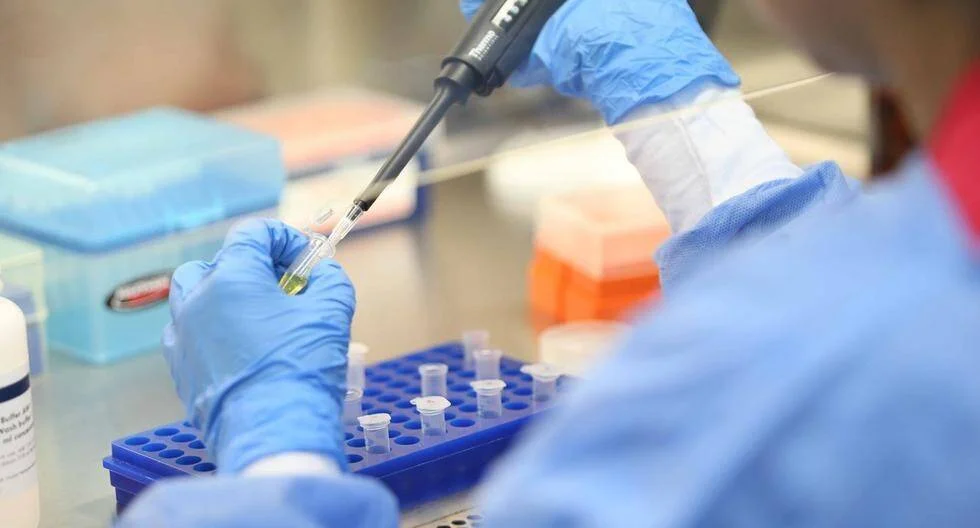 Técnico de laboratorio con guantes azules usa una micropipeta para transferir líquido a tubos de ensayo en una gradilla.