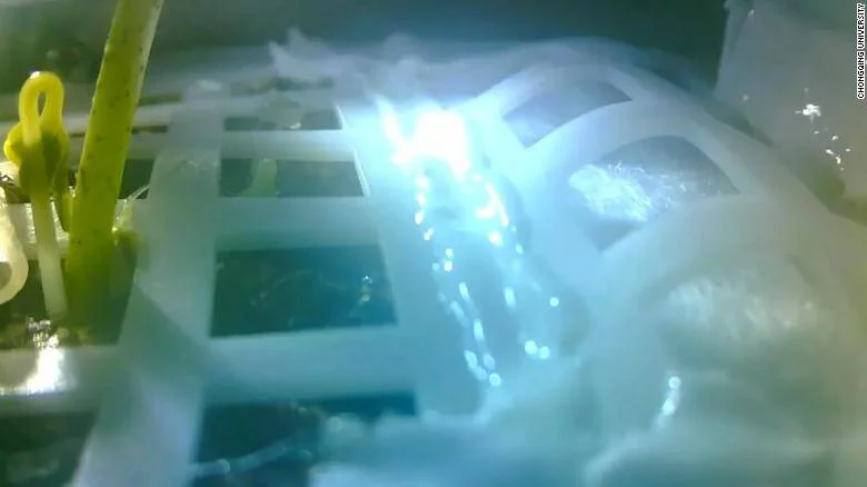 Plántulas verdes creciendo junto a una estructura de rejilla blanca sumergida en agua con burbujas luminosas.