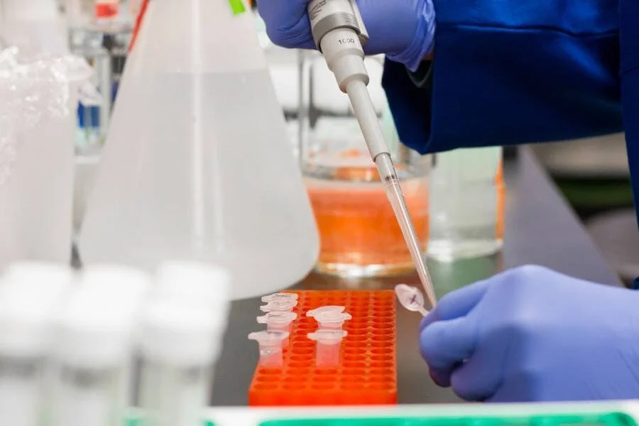Investigador con guantes pipetea líquido en microtubos sobre gradilla roja en laboratorio científico.