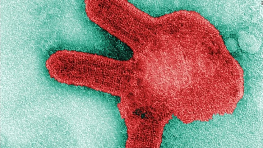 Micrografía electrónica coloreada muestra una partícula de virus con forma irregular en rojo sobre fondo verde azulado.