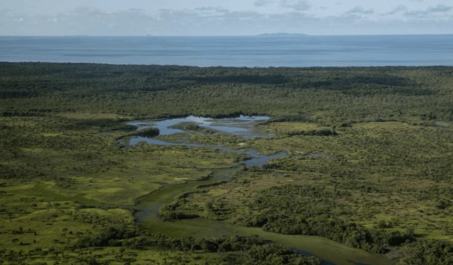 Panorama aéreo de un extenso humedal tropical con un río serpenteante rodeado de vegetación densa y el mar al fondo.