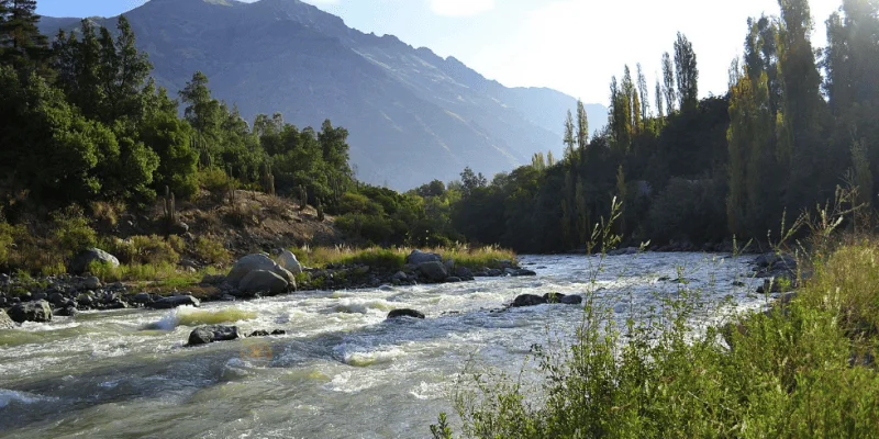 Río de aguas rápidas con rocas, rodeado de árboles y montañas andinas al fondo bajo luz solar.