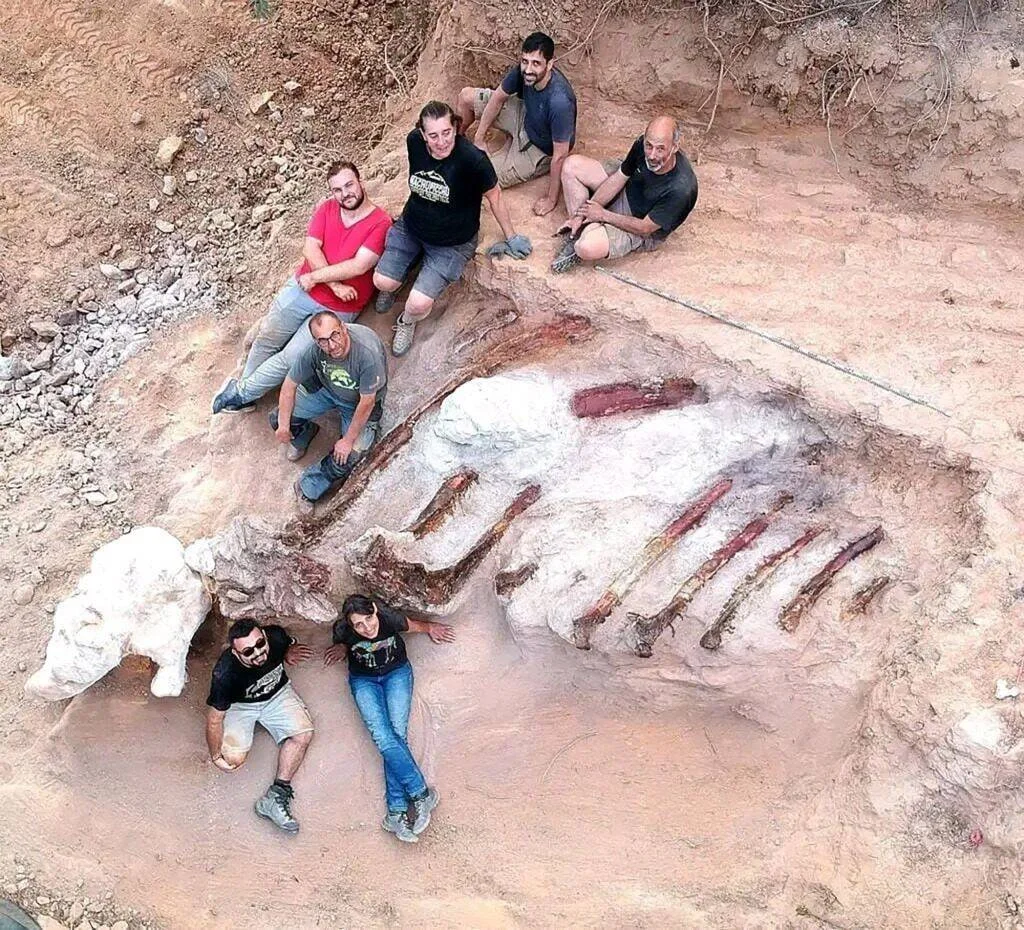 Siete investigadores posan alrededor de un enorme esqueleto fosilizado de dinosaurio recién excavado en terreno arcilloso.